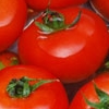 Tomates 