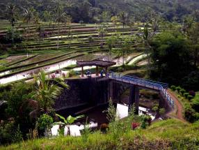 Paisaje cultural de Bali © UNESCO