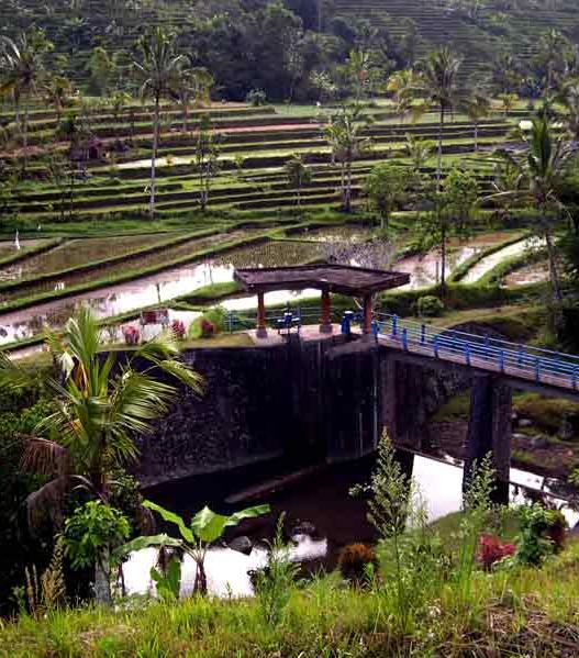 Paisaje cultural de Bali © UNESCO