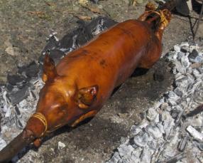Lech&oacute;n