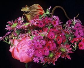 Exposici&oacute;n: Flower Paradise