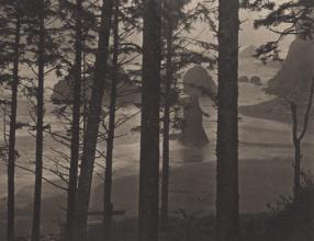 Exposición:Los rumores del bosque
