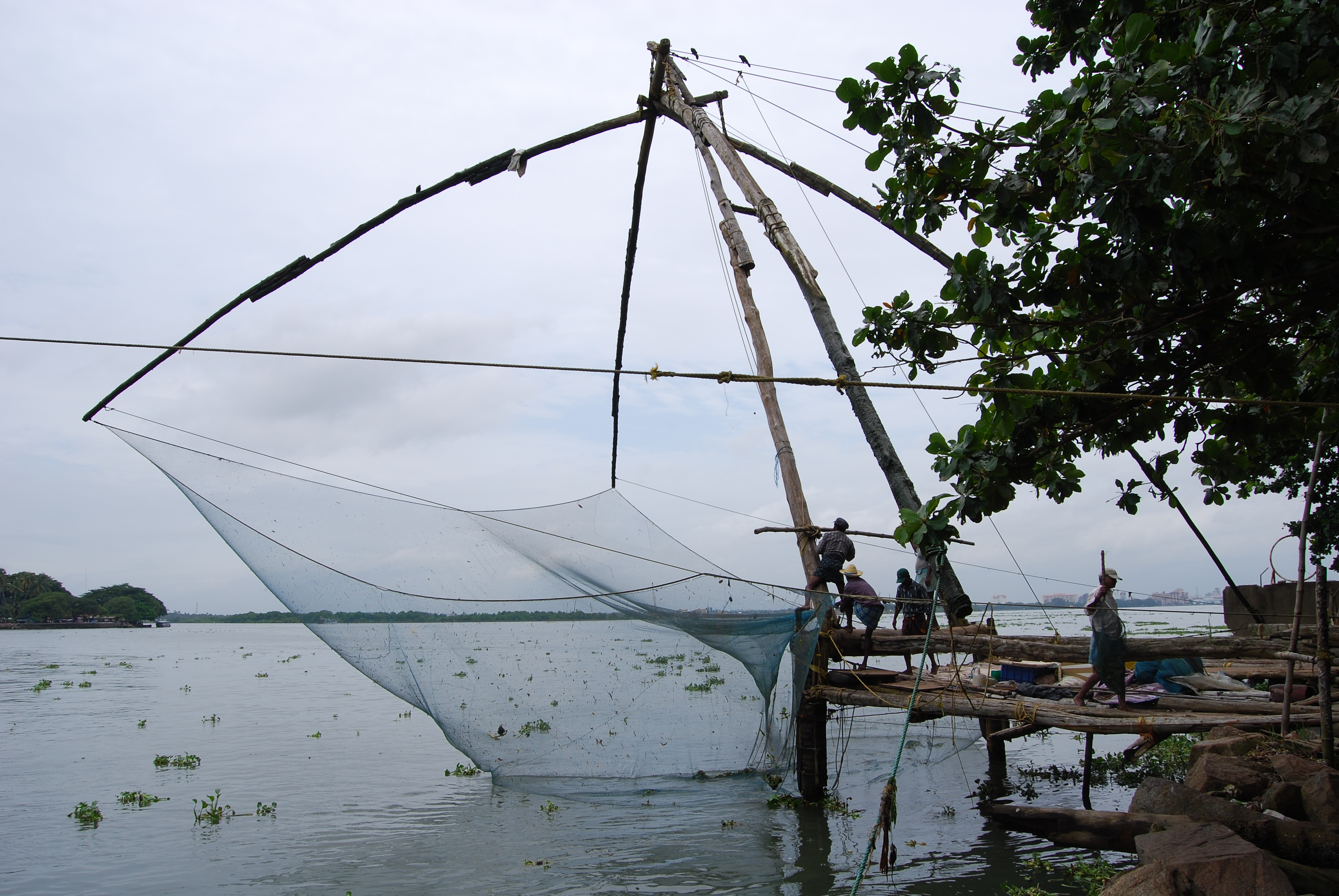 Kochi india