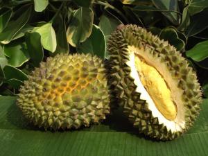 Durian cocina