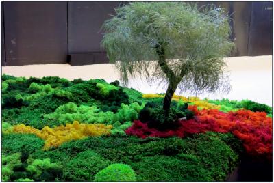 Exposición: "Un jardín japonés: topografías del vacío",  de Esther Pizarro Casa Asia_3