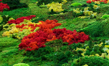 Exposicin: "Un jardn japons: topografas del vaco",  de Esther Pizarro Casa Asia