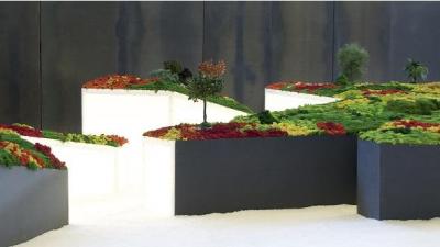 Exposicin: "Un jardn japons: topografas del vaco",  de Esther Pizarro Casa Asia_2