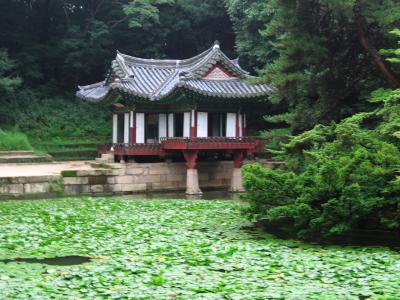 Palacio Changdeokgung corea