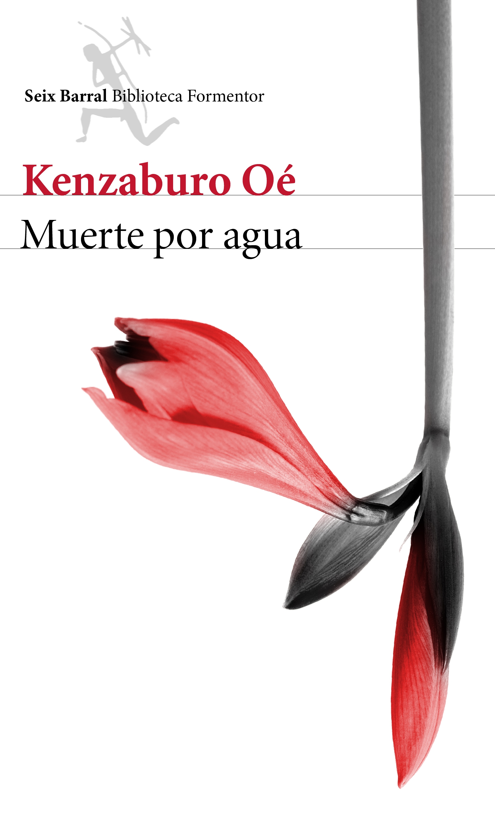 Libro: Muerte por agua