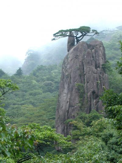 Montaas Amarillas o Huangshan China