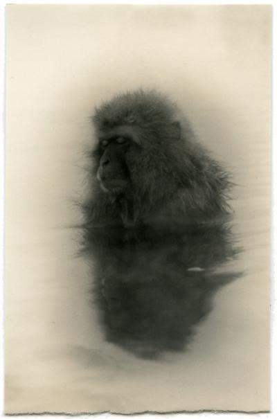 Exposicin Masao Yamamoto